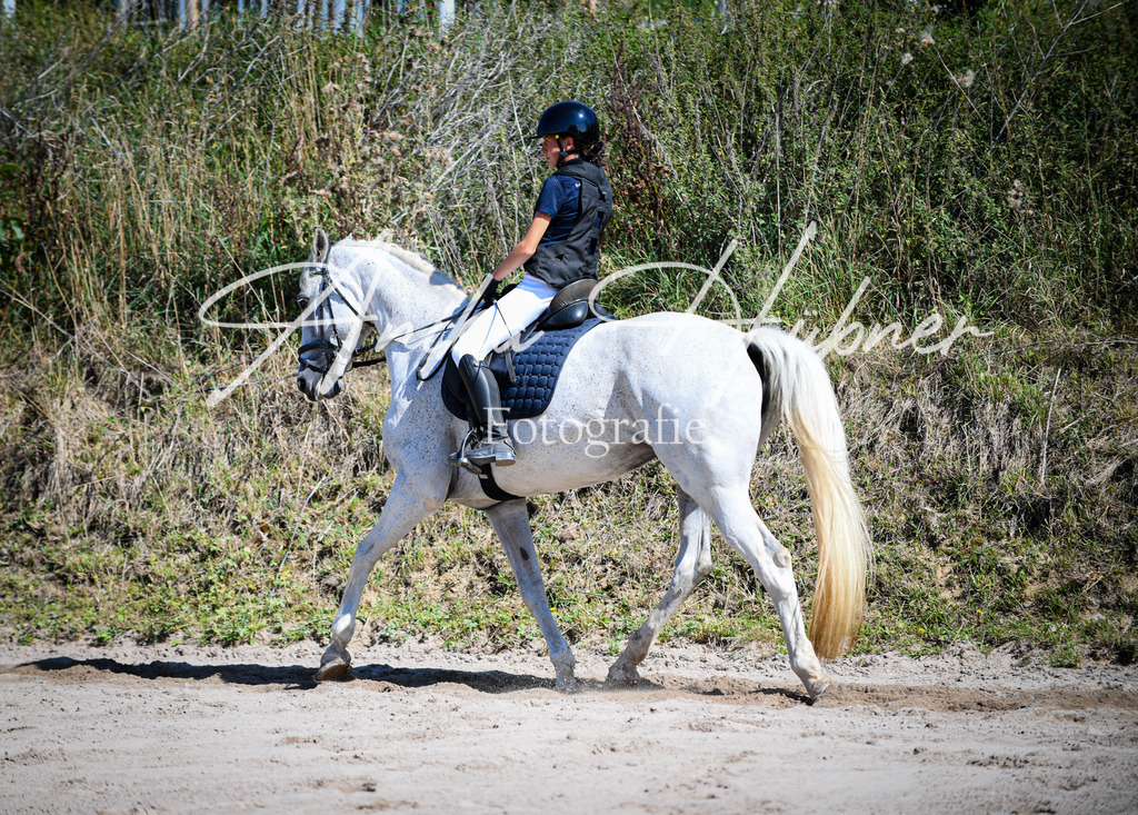 DSC_0211 | anikahuebner - Realisiert mit Pictrs.com