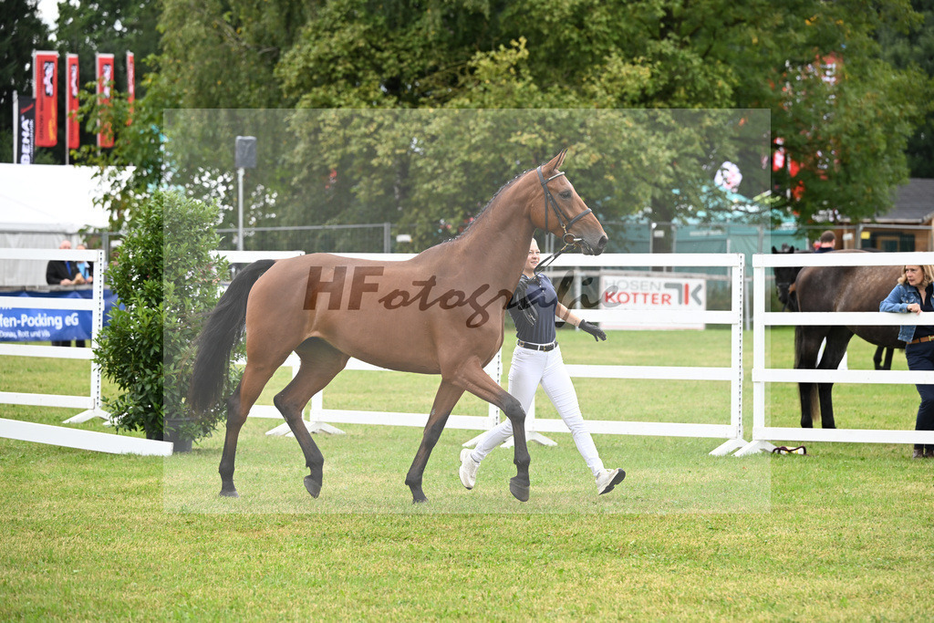 Kat-Nr. 18 Verona M v. Vingino_Zuchthof Meindl_30250377 | hf-fotografie - Realisiert mit Pictrs.com