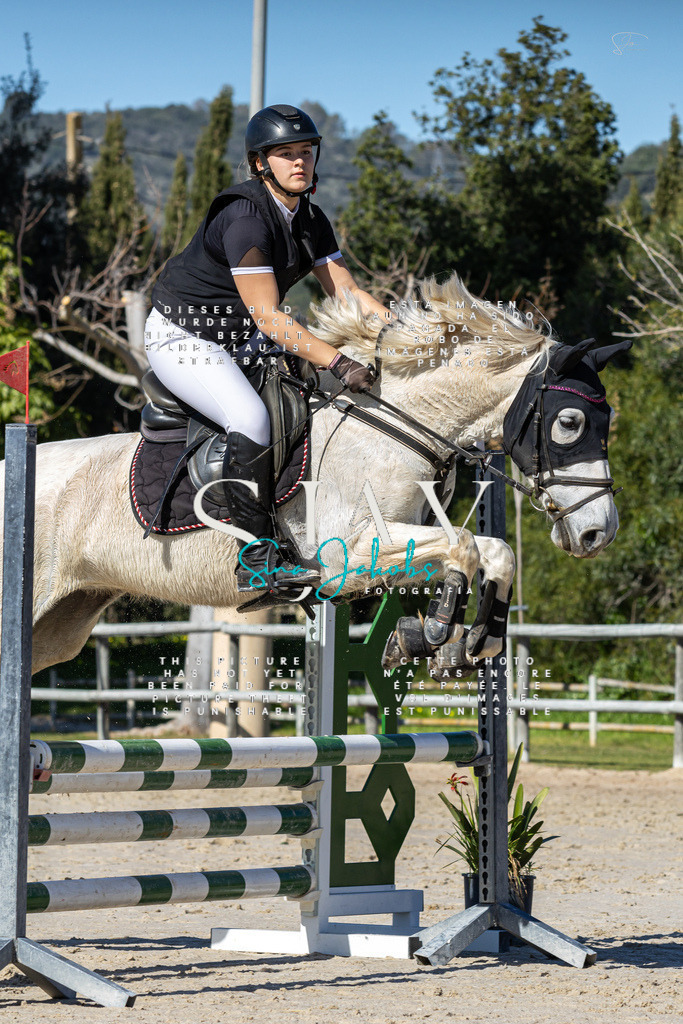 IMG_9356 | s-jay-photography - Realisiert mit Pictrs.com