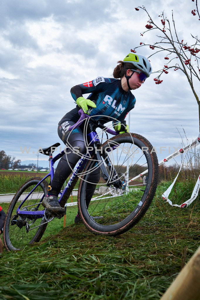 ..... | AUSTRIA, 24.11.24, 3.Radquerfeldein GP um das Sportzentrum Gunskirchen Image shows: Photo: Wapics / Michael Ring
