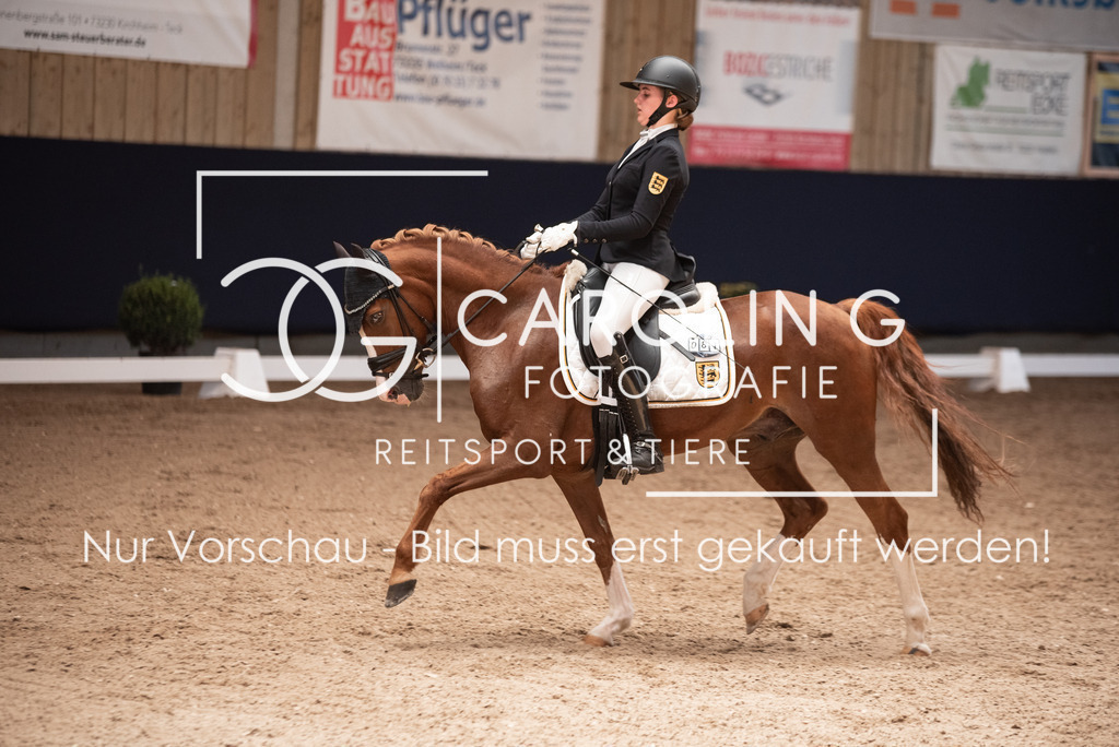 DSC_3436 | Carolin Gieschke