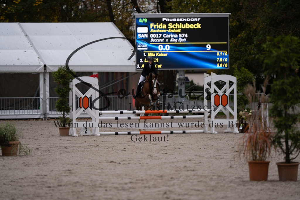 A7V09680 | Pferdefotograf