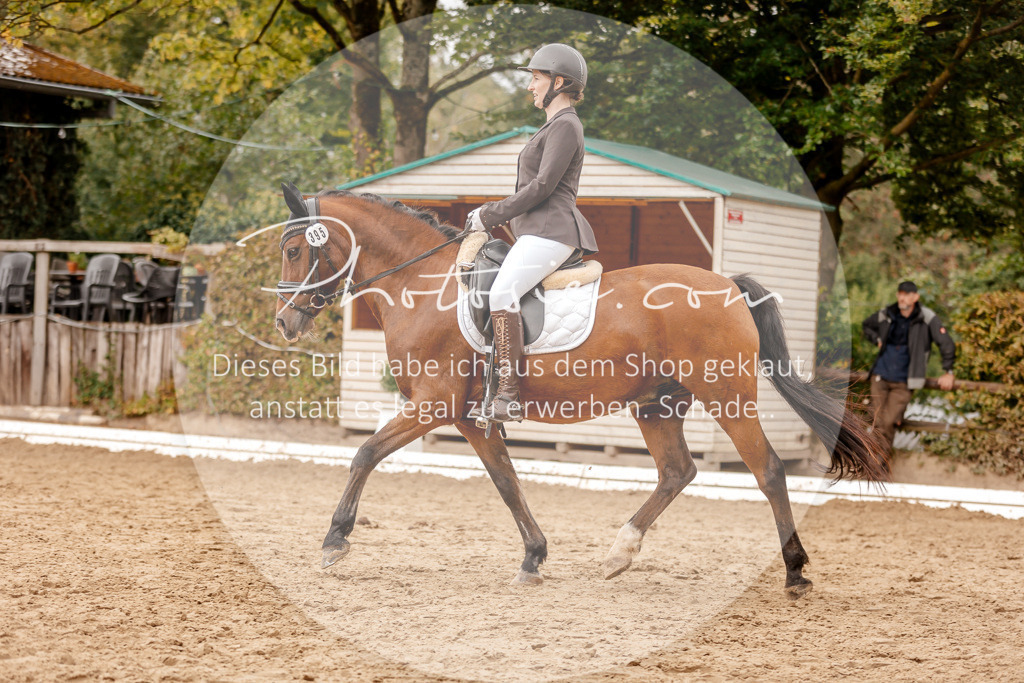 3I6A7892 | Stimmungsvolle Portraits und Reitsportfotografie im Ruhrgebiet und im Münsterland.

Pferdefotografie, Hundefotografie, Tierfotografie, Reportagen, Portraits von Tier und Mensch, Turnierfotografie in Bochum, Recklinghausen, Marl, Haltern am See, Dülmen.. - Realisiert mit Pictrs.com