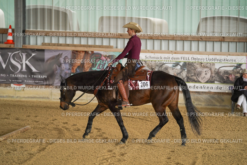 DSC03769 | Pferdegrafie