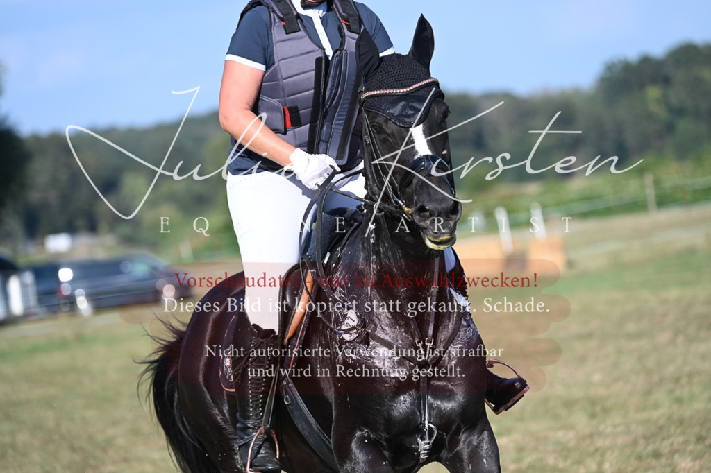 DSC_8944 | Pferde- und Turnierfotografie in Westsachsen. Pferdeportraits, Auftragszeichnungen und intuitive Kunst.