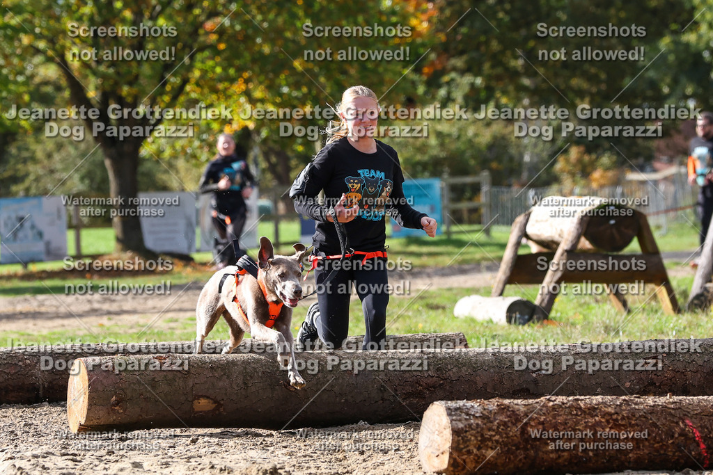 Dog Paparazzi - Strongdog 10-25-5144 | Dog Paparazzi Jeanette Grottendiek Fotografie & Videografie - Realisiert mit Pictrs.com