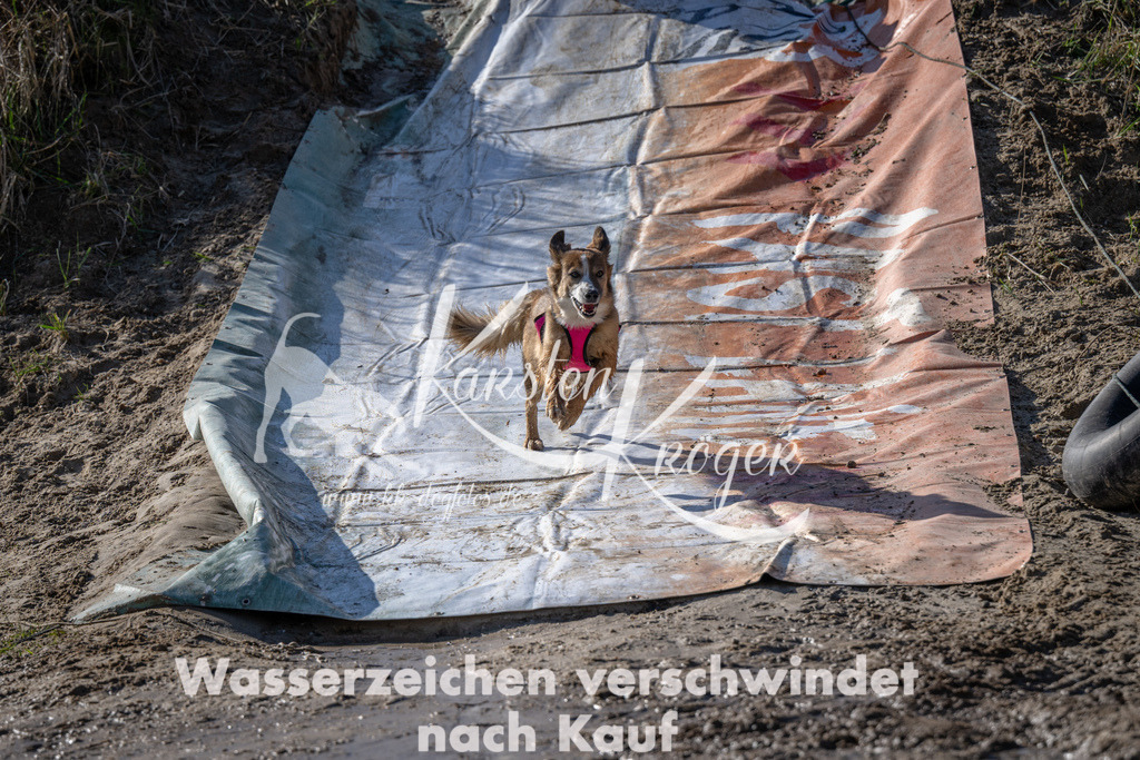 1505_ZZ90848 | kk-dogfotos