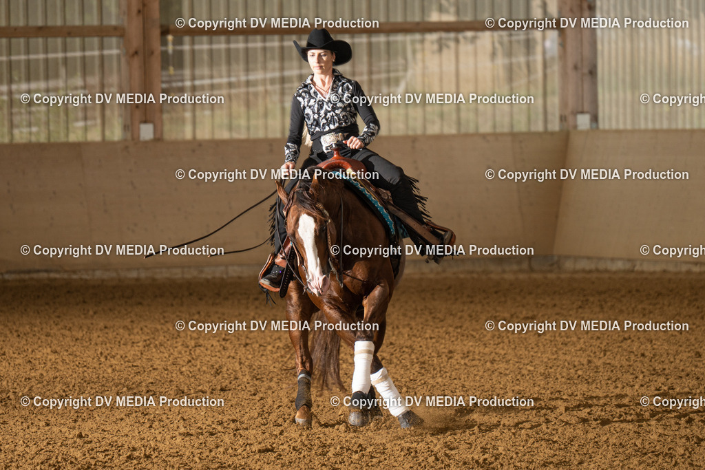 LAU00811 | dv-media-shop - Realisiert mit Pictrs.com