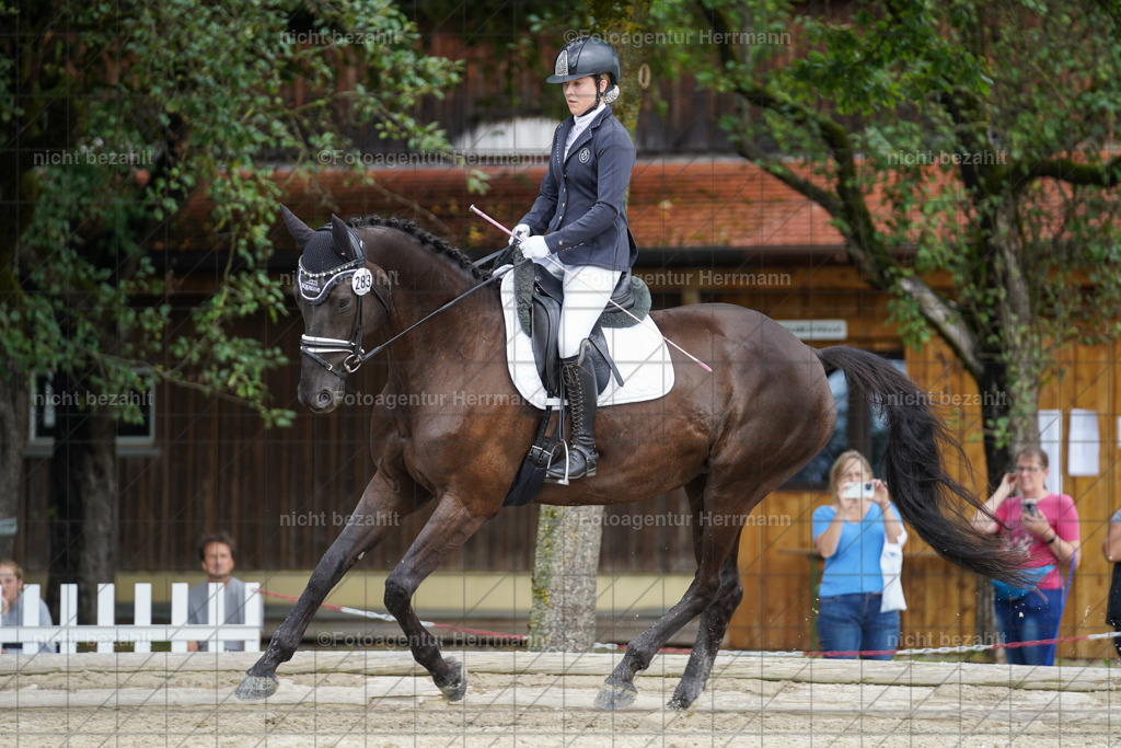 20230826-FAH05231 | Forstinning, 2023, Dressurturnier, Turniersportbilder, Turnierfotografen Bayern, Fotoagentur Herrmann, Reitsportfotografie, Turnierbilder