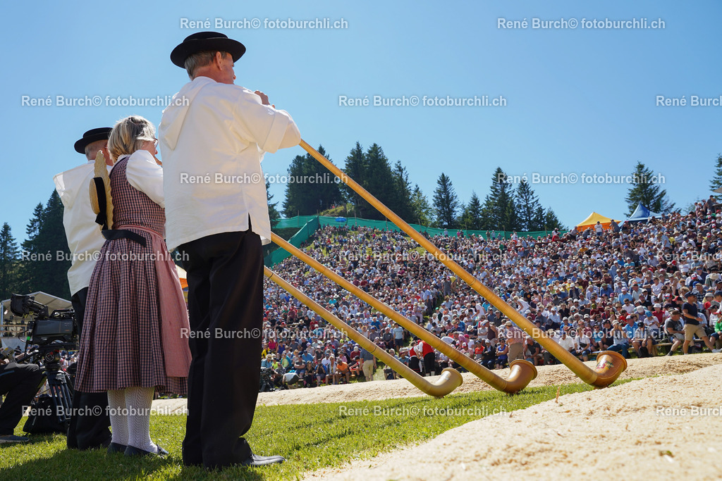 20220710-DSC09978 (2) | René Burch leidenschaftlicher Fotograf aus Kerns in Obwalden.  Hier finden sie Sport, Landschaft und Natur Fotografie.
 - Realisiert mit Pictrs.com