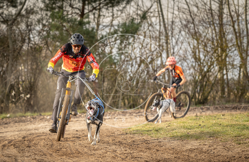 Pfotenfotografie_DV3A7545 | Hundefotografie, Tierfotograf, Pfotenfotografie, Fotoshooting Hund, Hunde Portrait, Hundesport, Hundeportraits, Heideshooting, Hunde, Sportfotograf, Hundefotograf, Turnierhundsport, THS,  - Realisiert mit Pictrs.com