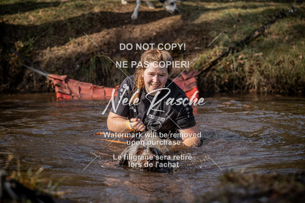 nelerasche_FS1330-1400_435 | nelerasche