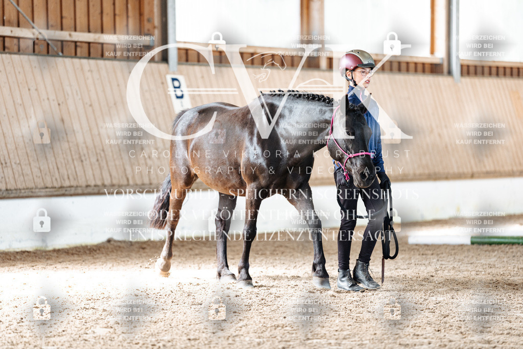 CK905997 | Turnierfotografie Pferdefotografie Trier Rheinland-Pfalz Pferdesport Reitsport Tierfotografie Sportfotografie Pferdevideo Pferdevideografie Equestrianvideography equestrianphotography  - Realisiert mit Pictrs.com