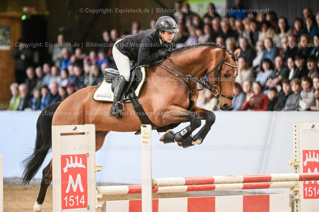 20260307_Hengstvorstellung-Marbach_0022 | equistock