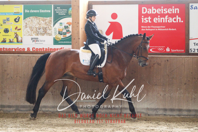 DKP44174 | Turniersportfotografie; Pferdefotografie; Dressurfotografie