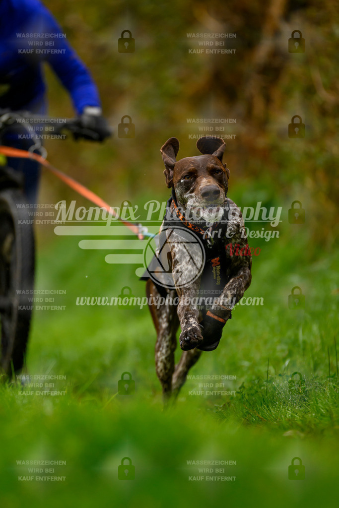 MompixPhotography_20TSB_E8_Bike-97 | PayLife
