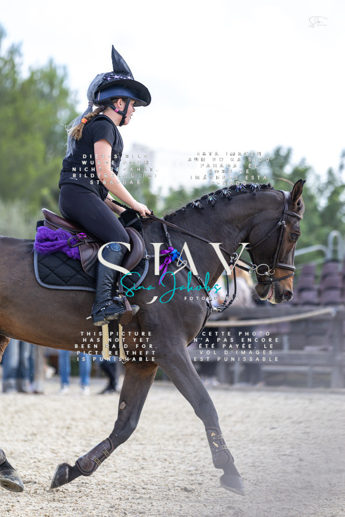 IMG_3269 | s-jay-photography - Realisiert mit Pictrs.com