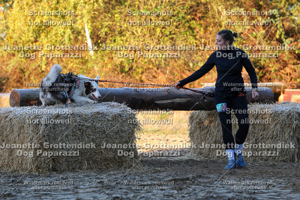 Dog Paparazzi - Strongdog 10-25-483 | Dog Paparazzi Jeanette Grottendiek Fotografie & Videografie - Realisiert mit Pictrs.com