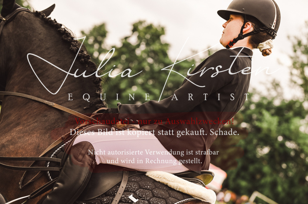 DSC_5054 | Pferde- und Turnierfotografie in Westsachsen. Pferdeportraits, Auftragszeichnungen und intuitive Kunst.