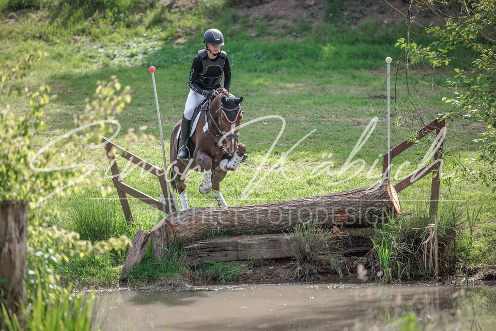 20260523-_3LI9292 | Tierfotografie Pferde, Hunde, Katzen, Haustiere.
Turnierfotografie Reitturniere, Reiten, Springreiten, Dressur in Hanau, dem Main-Kinzig-Kreis und dem Rhein-Main- Gebiet um Frankfurt