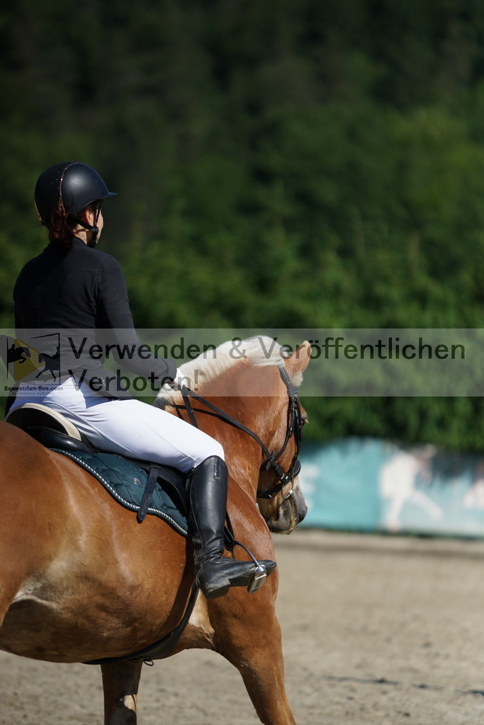 DSC06146 | equestrian-live-com