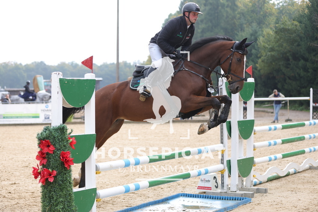 0P6A1563 | Willkommen bei Brunnmayr - Design & Fotografie – Ihrem Spezialisten für Reitturniere und Pferdeveranstaltungen in Oberösterreich, Salzburg und Bayern! Seit über 17 Jahren sind wir leidenschaftlich dabei.