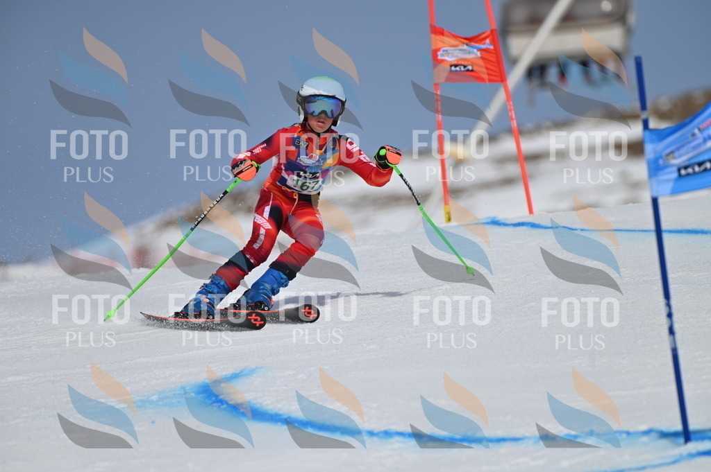 BGV_3319 | holidayphoto