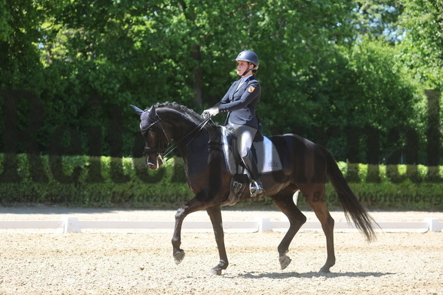 Böblingen_2025_Prfg.Nr.08_Dressurprüfung_Kl.M_Nürnberger Burgpokal_Lucia Rosa Schuler_Daila 15 (7) | Alle Fotos der Reiterjournal Fotografin Doris Matthaes im Reiterjournal Online-Fotoshop. - Realisiert mit Pictrs.com
