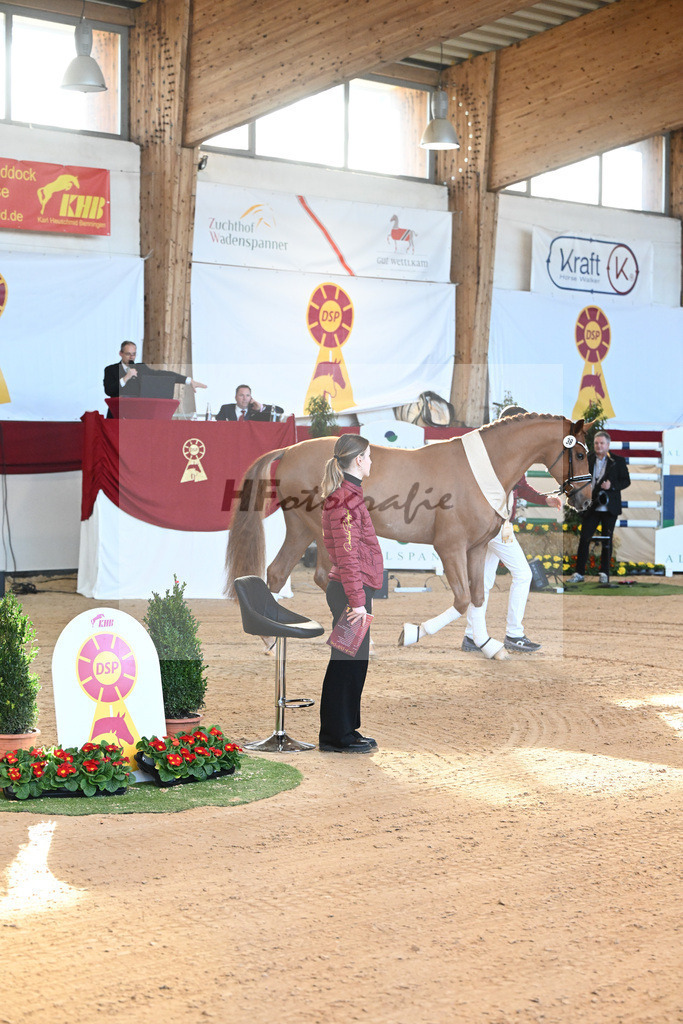 Impressionen Auktion_2243597 | hf-fotografie - Realisiert mit Pictrs.com