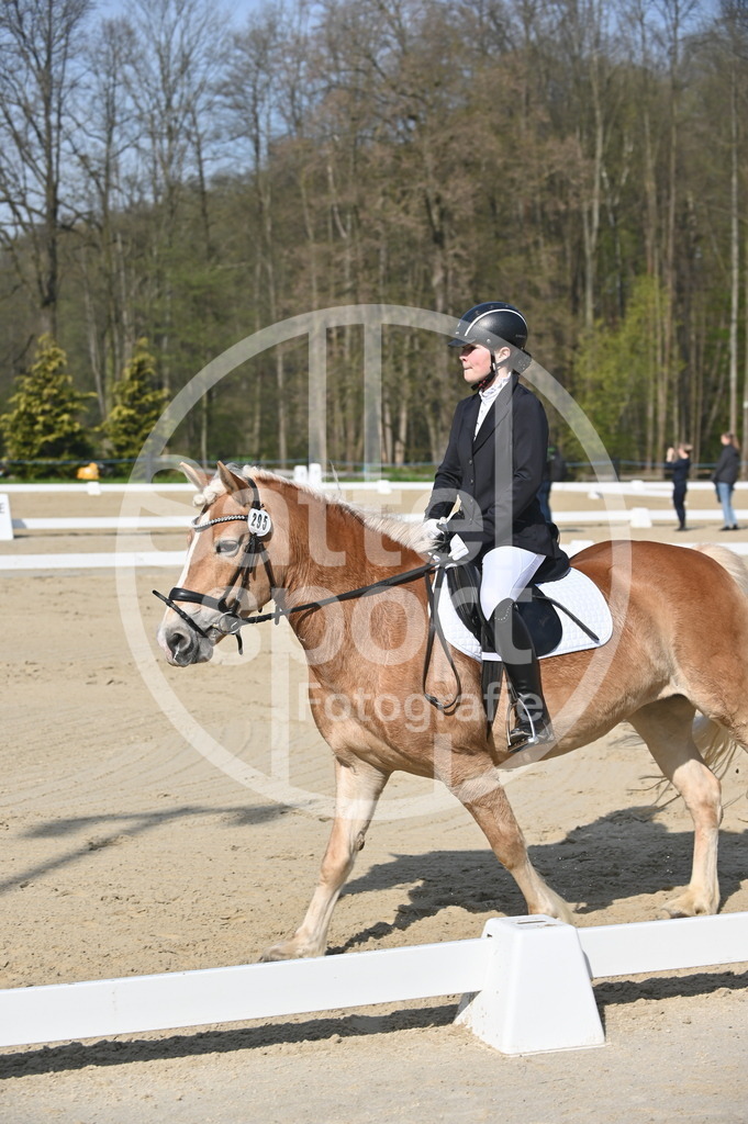 DSC_0321 | sattelsport - Realisiert mit Pictrs.com