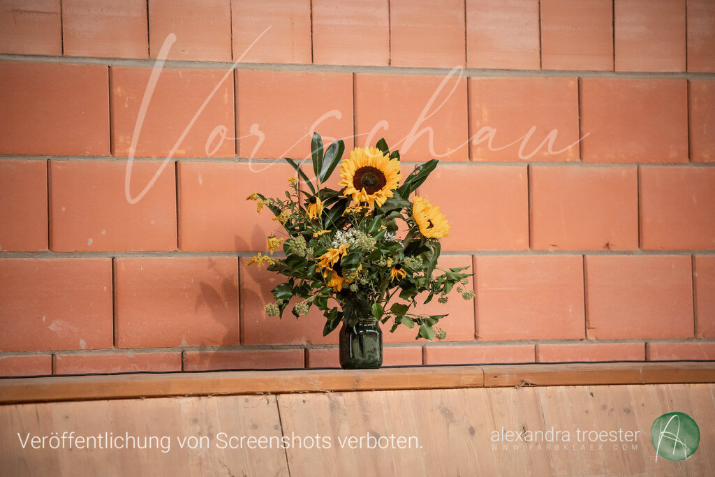 250913_Barop_11_149 | farbklaex.com