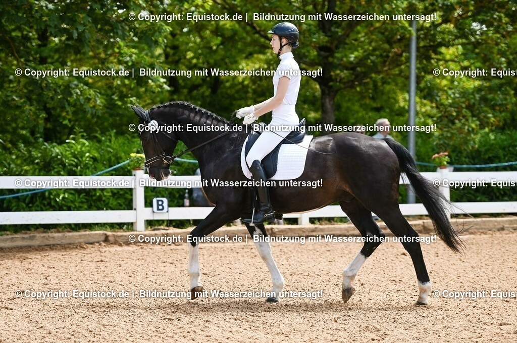 20230716_03_Dressurprfg. Kl.L - Tr._0019 | equistock