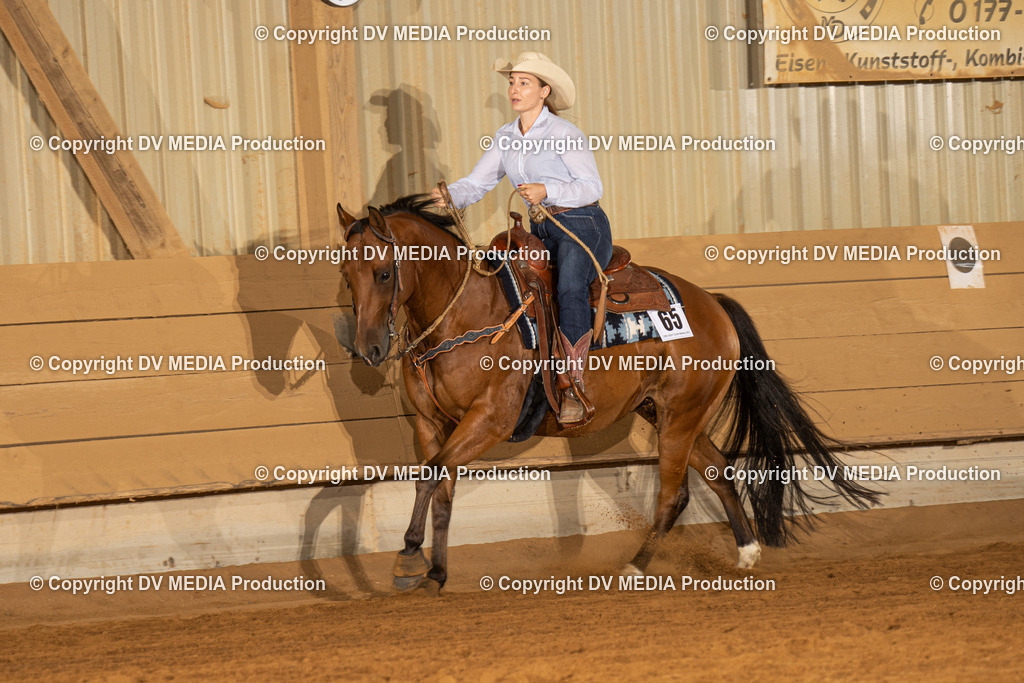 NID01353 | dv-media-shop - Realisiert mit Pictrs.com