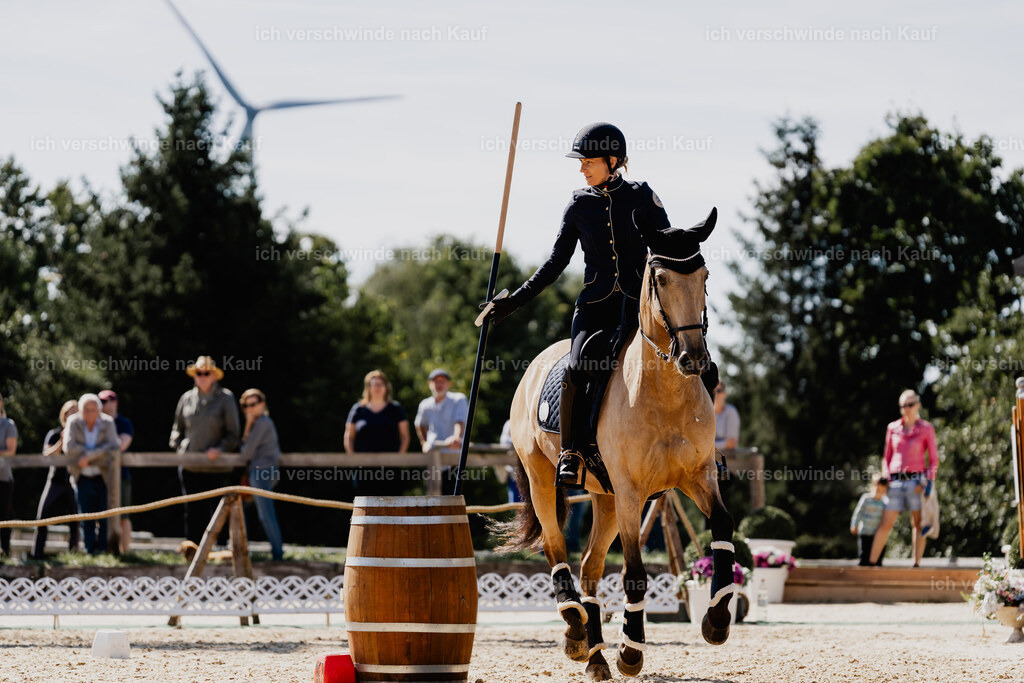 Diana11_FHC2025-09036 | working equitationturnier fotograf videograf stoibphotography marixx film working equitation deutschland reitsport turnierfotografie eventfotografie equestrian events