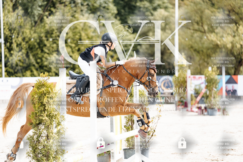 CK906314 | Turnierfotografie Pferdefotografie Trier Rheinland-Pfalz Pferdesport Reitsport Tierfotografie Sportfotografie Pferdevideo Pferdevideografie Equestrianvideography equestrianphotography  - Realisiert mit Pictrs.com