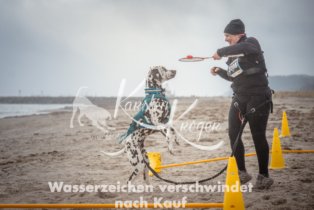 1114_ZZ97368 | kk-dogfotos