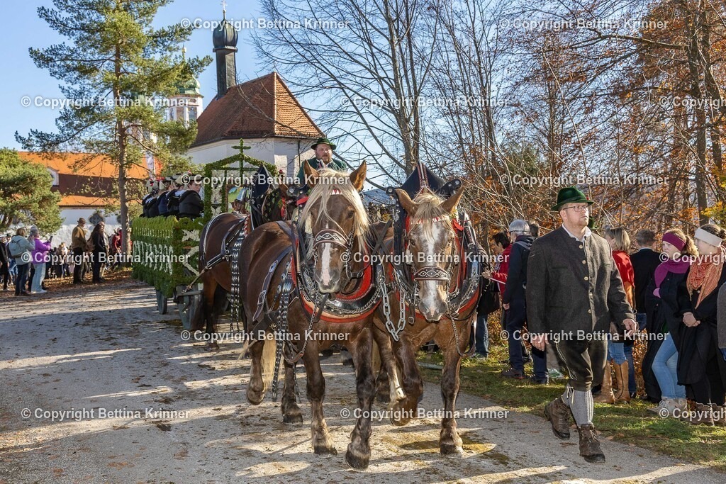 LBT25-1236 | foto-bettina-krinner - Realisiert mit Pictrs.com