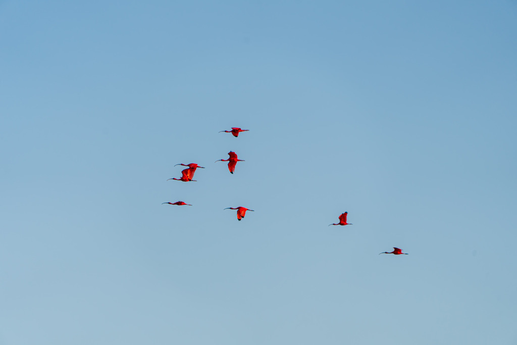 20251114-DeltaTour-0019 | paulependelt - Realisiert mit Pictrs.com