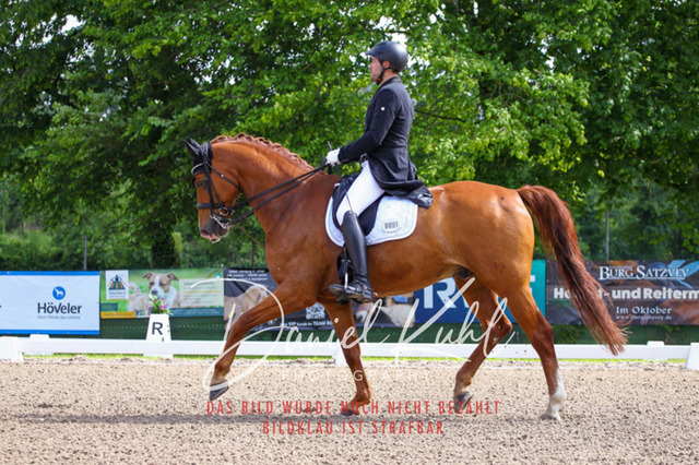 DKP41272 | Turnierfotos kaufen im Webshop von Daniel Kuhl Photography – entdecke professionelle Reitsportfotos aus Turnieren & Events. Hochwertige Turnierbilder online bestellen & sichern. Jetzt Fotos von Reitsportturnieren kaufen!