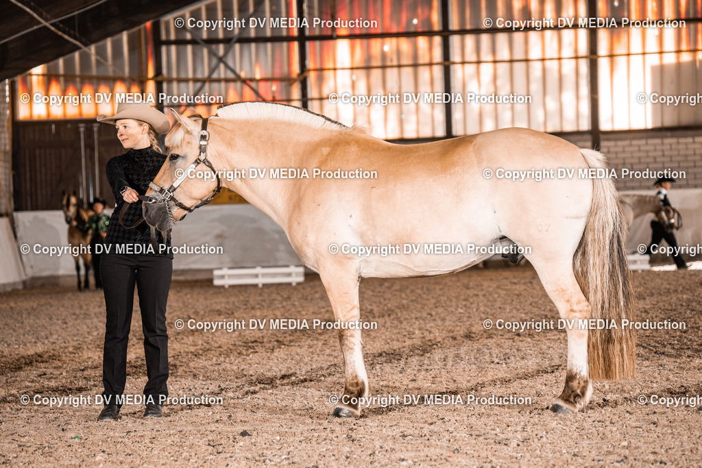 ZH100084 | dv-media-shop - Realisiert mit Pictrs.com