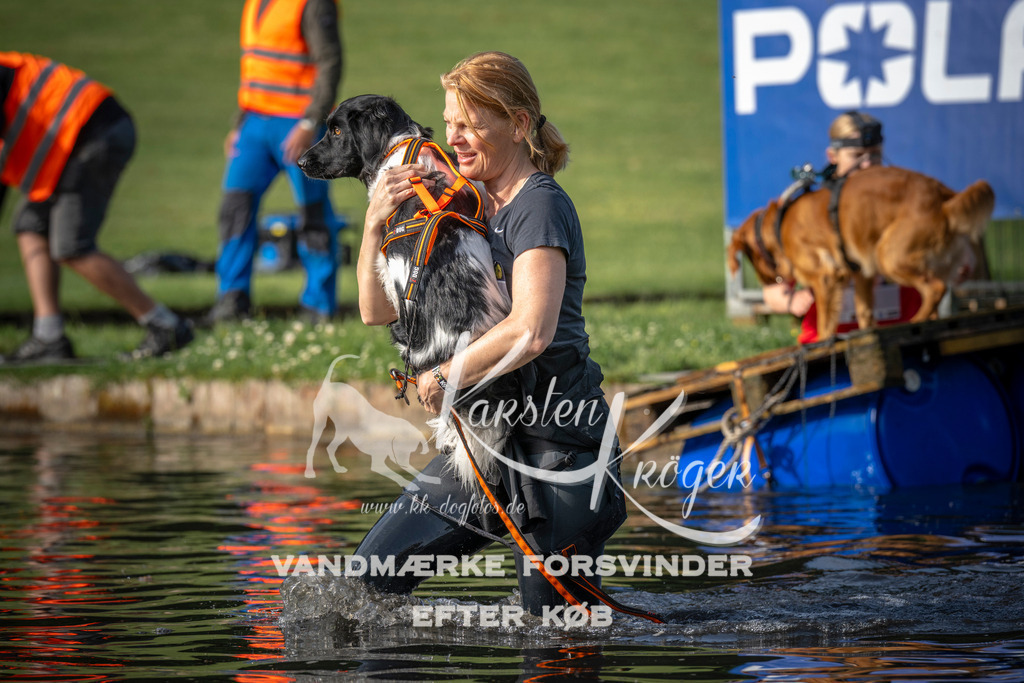 _ZZ940950711 | kk-dogfotos