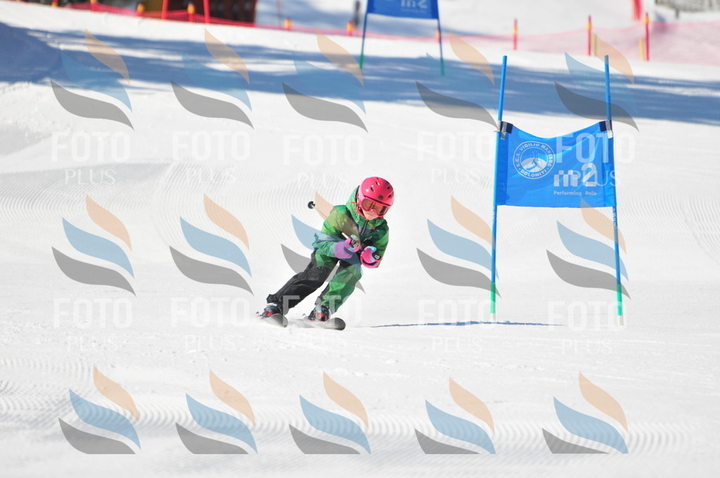 C2763 | holidayphoto