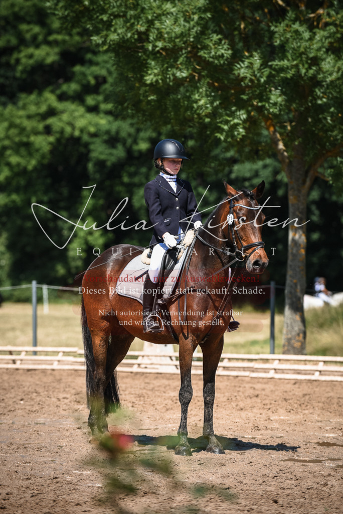 DSC_3306 | Pferde- und Turnierfotografie in Westsachsen. Pferdeportraits, Auftragszeichnungen und intuitive Kunst.
