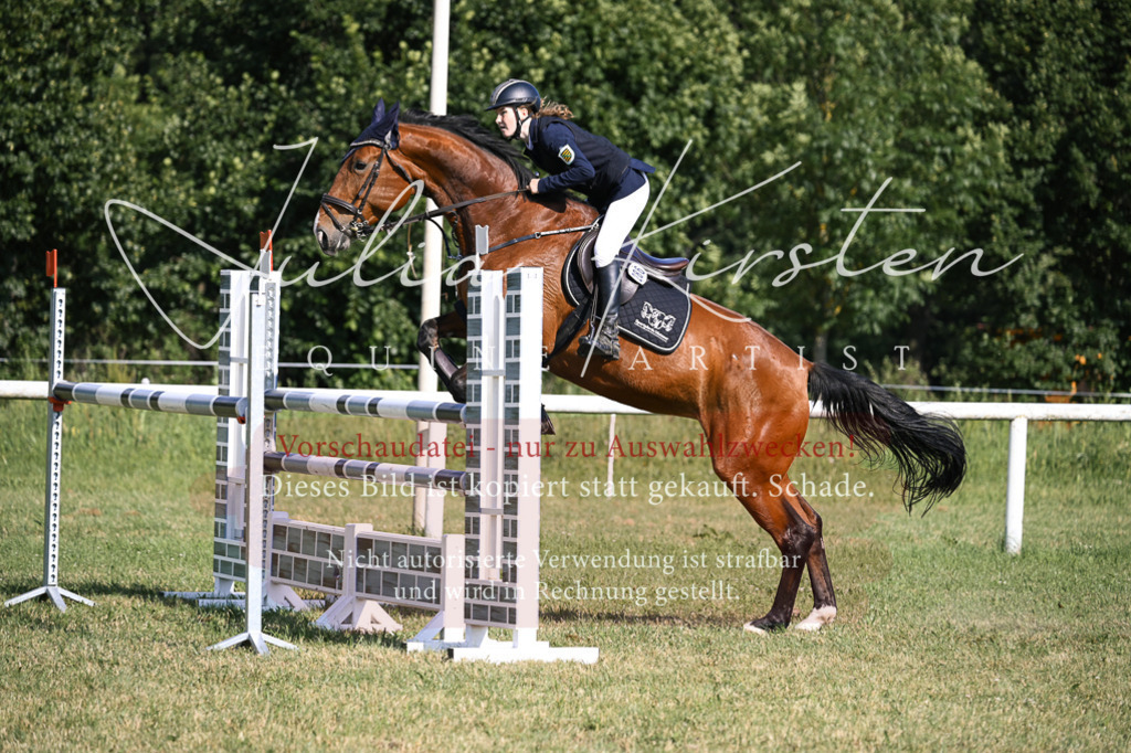 DSC_1326 | Pferde- und Turnierfotografie in Westsachsen. Pferdeportraits, Auftragszeichnungen und intuitive Kunst.
