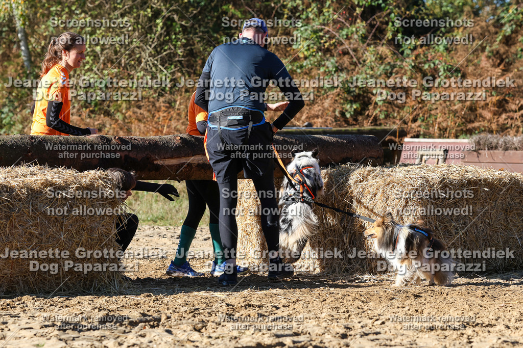 Dog Paparazzi - Strongdog 10-25-2040 | Dog Paparazzi Jeanette Grottendiek Fotografie & Videografie - Realisiert mit Pictrs.com