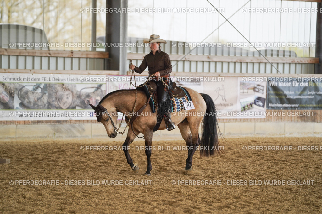 DSC00202 | Pferdegrafie