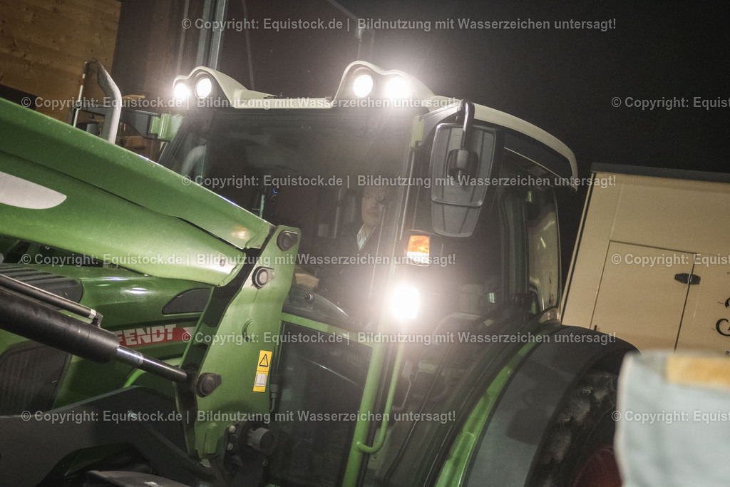 20240302_Hengstvorstellung_Marbach_TOMsPiC_1616 | equistock