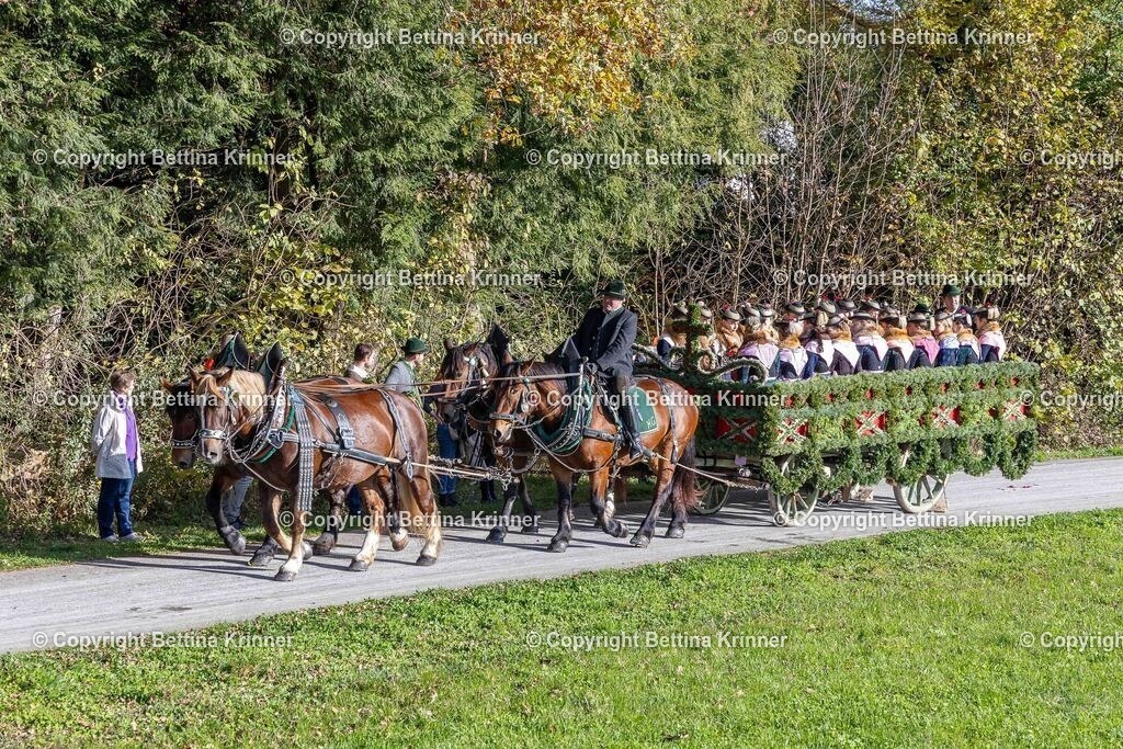 LBT24-522 | foto-bettina-krinner - Realisiert mit Pictrs.com