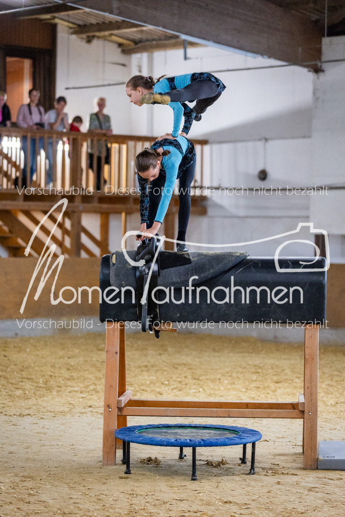 Holzpferd-047 | MomenTaufnahmen Pferdesportfotos