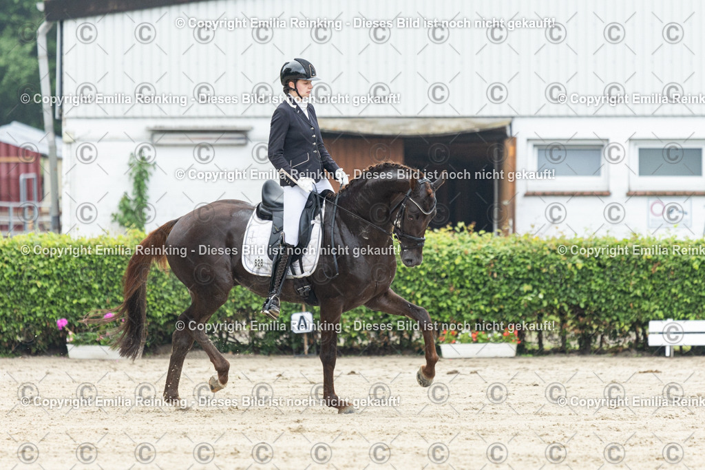 CL5A3072 | Emilia Reinking Fotografie - Realisiert mit Pictrs.com